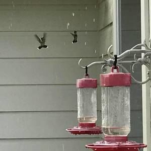 Meet your Posher, Sonia